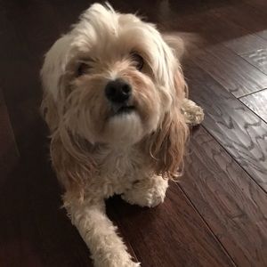 Meet your Posher, Kaylee